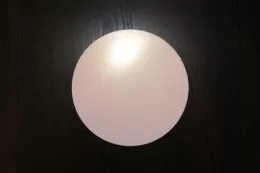 Disques à tourte 24cm (11E00)